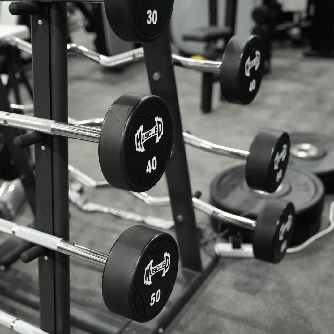 Pro Urethane Barbell Set(Straight or Curl) - 20 to 110 lbs (Barbell Set Only) - Muscle D Fitness - Premium Quality Urethane Barbell Set - Grit Grind Strength