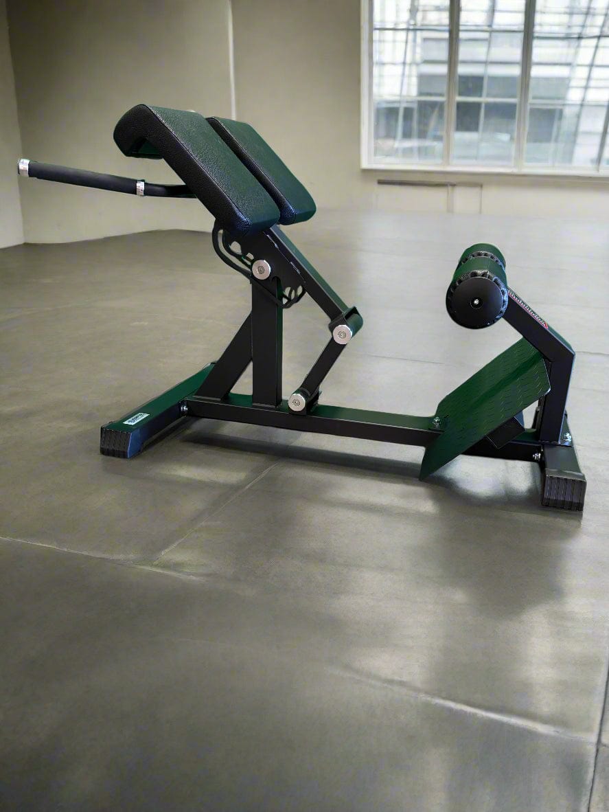 SFE Commercial Roman Chair (New) - Grit Grind Strength