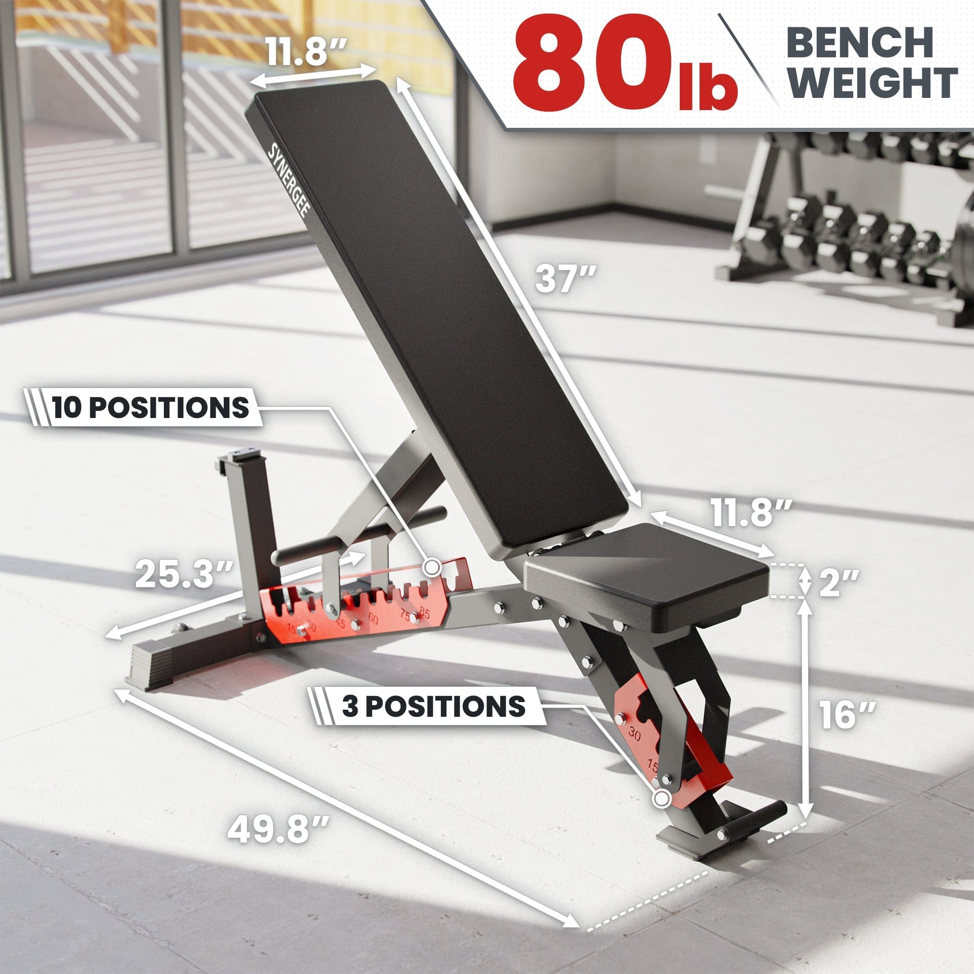 Synergee Adjustable Wing Back Bench - Grit Grind Strength