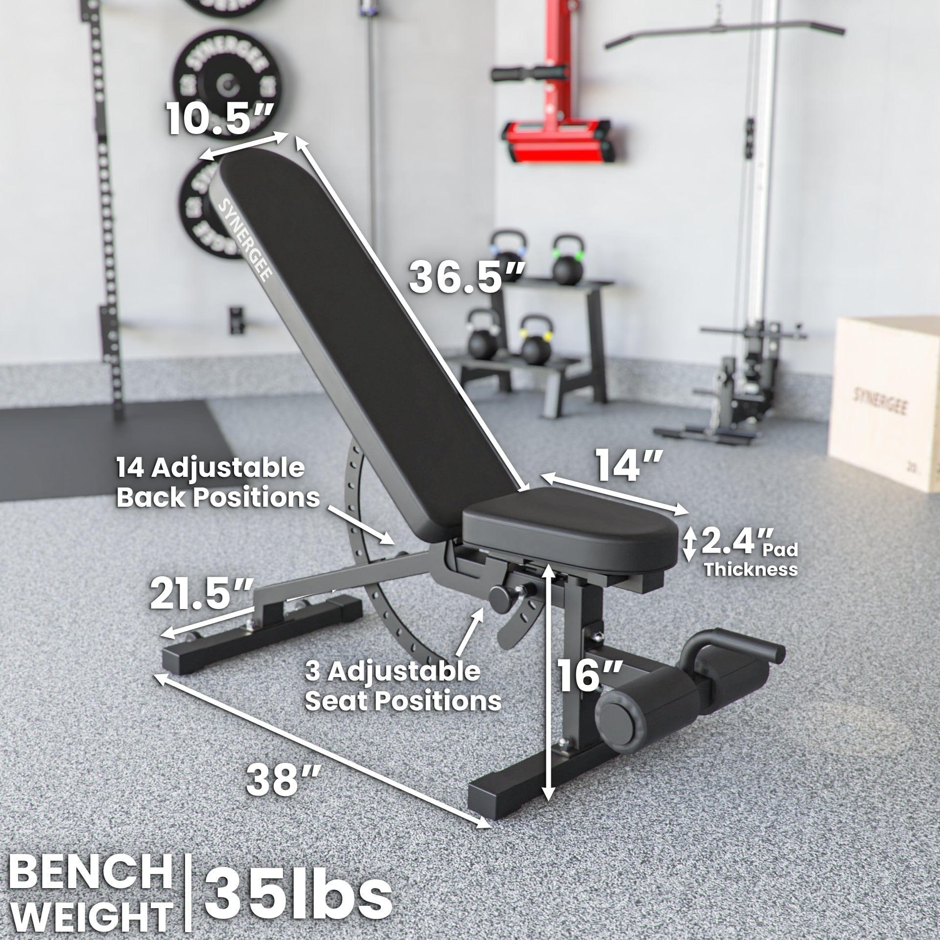 Synergee Benches Synergee Adjustable Incline Decline Bench
