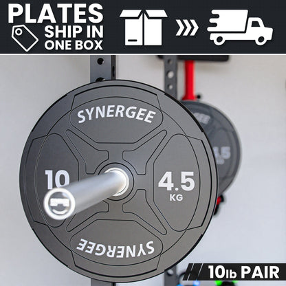 Synergee Bumper Plates Synergee EZ Grip Bumper Plates