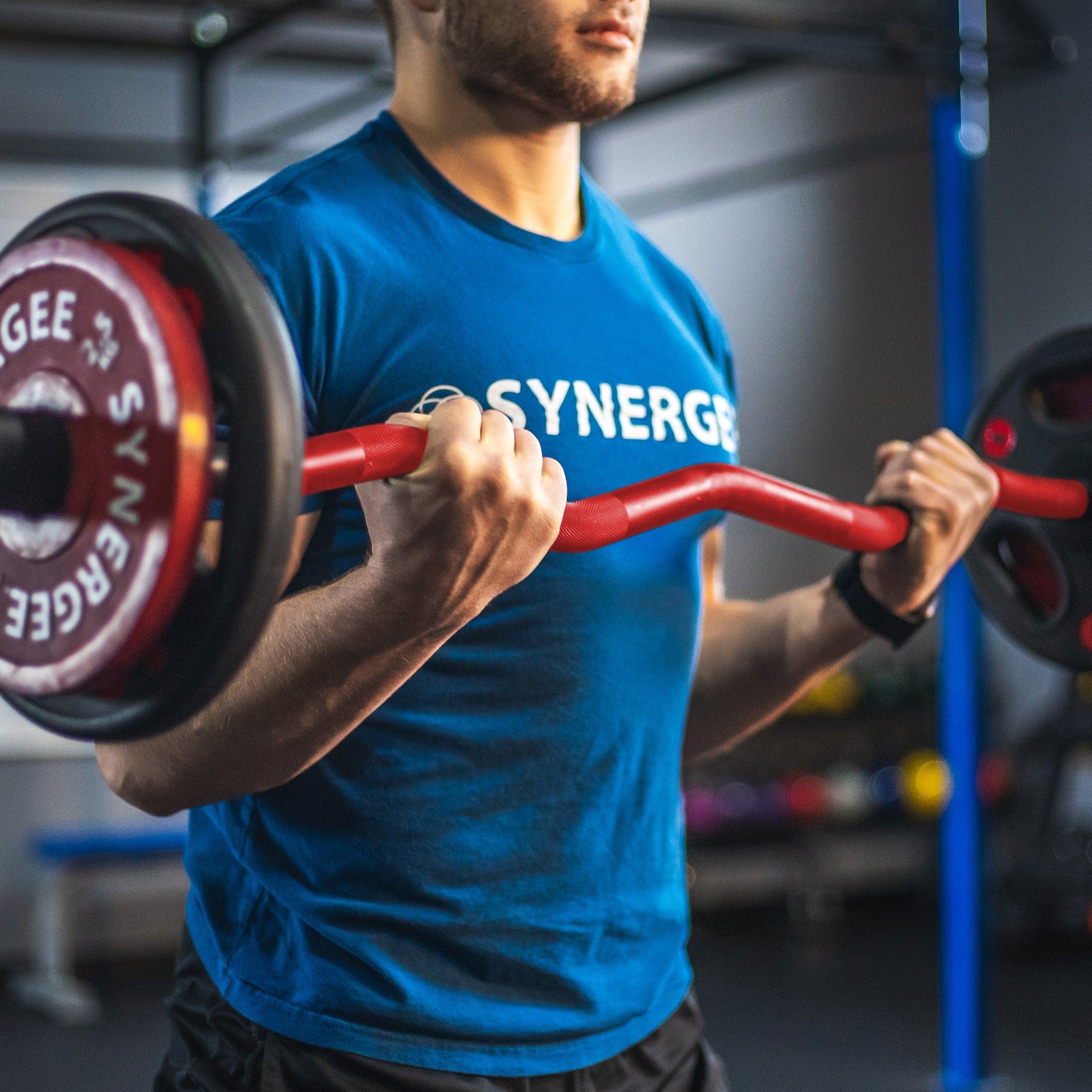 Synergee EZ Curl Bars - Grit Grind Strength