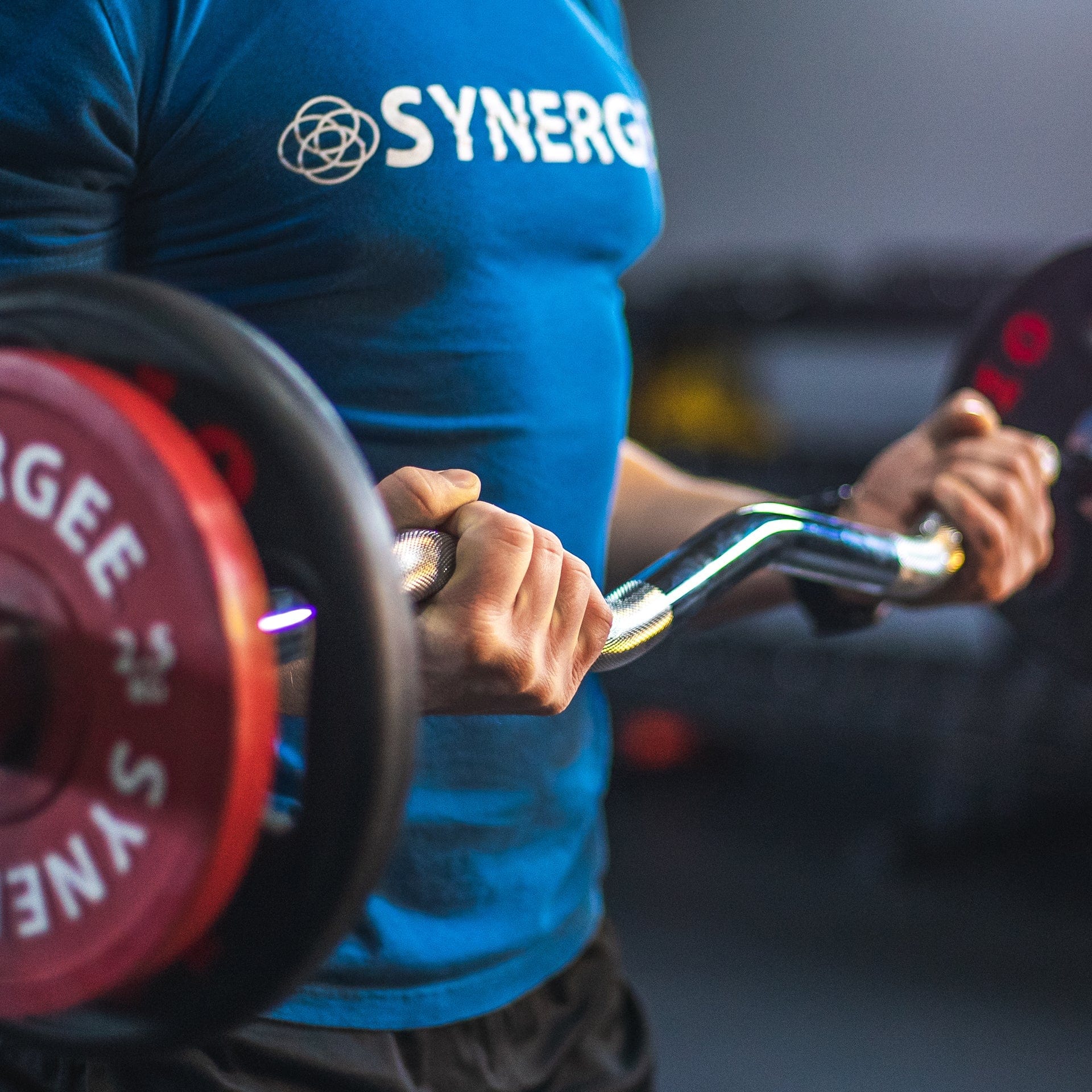 Synergee EZ Curl Bars - Grit Grind Strength