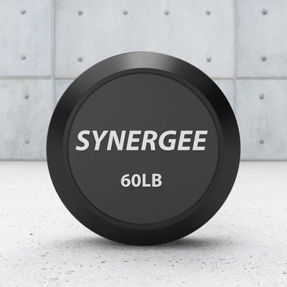 Synergee Fixed Easy Curl Barbell - Grit Grind Strength