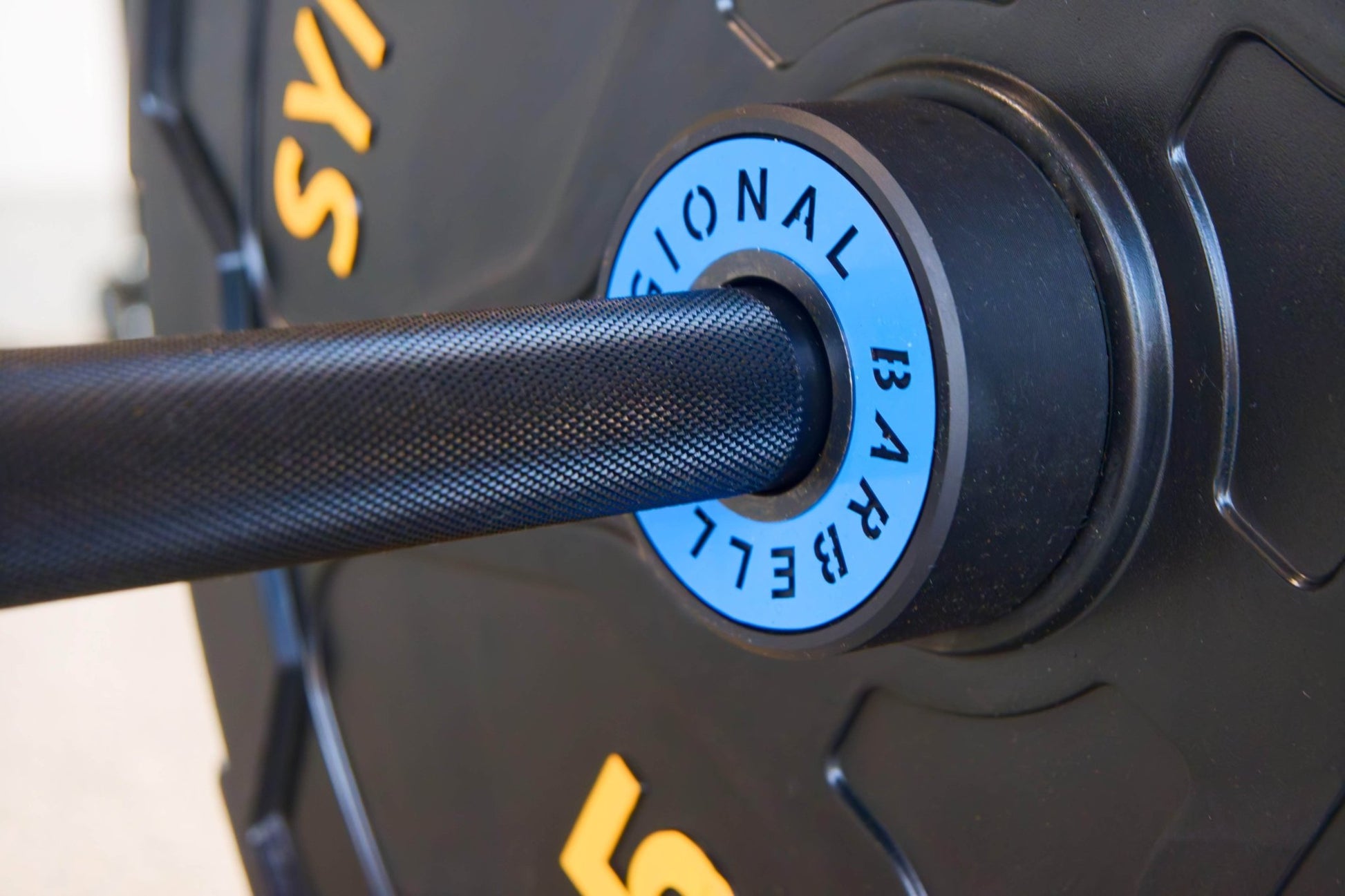 Synergee Regional Barbell - Grit Grind Strength