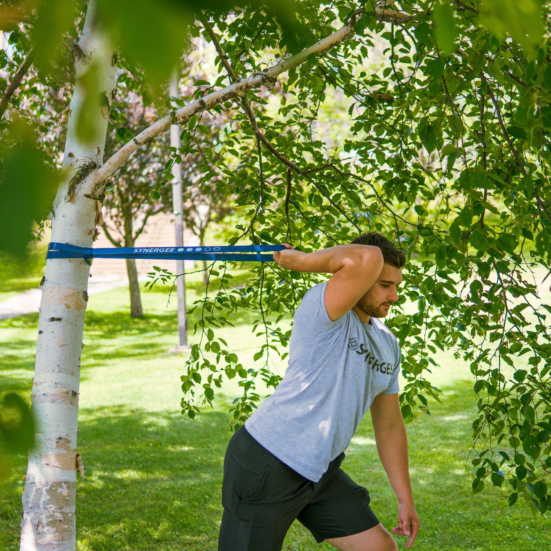 Synergee Resistance Power Bands - Grit Grind Strength