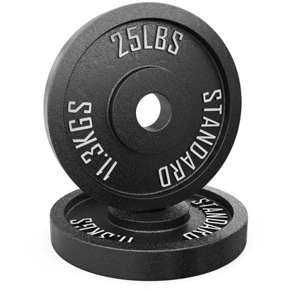 Synergee Standard Metal Weight Plates - Grit Grind Strength