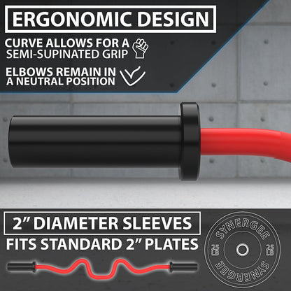 Synergee Super Curl Bars - Grit Grind Strength