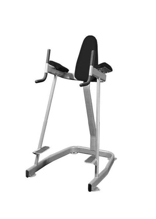 Vertical Knee Raise - Elite Series - Muscle D Fitness - Sturdy Vertical Knee Raise - Grit Grind Strength