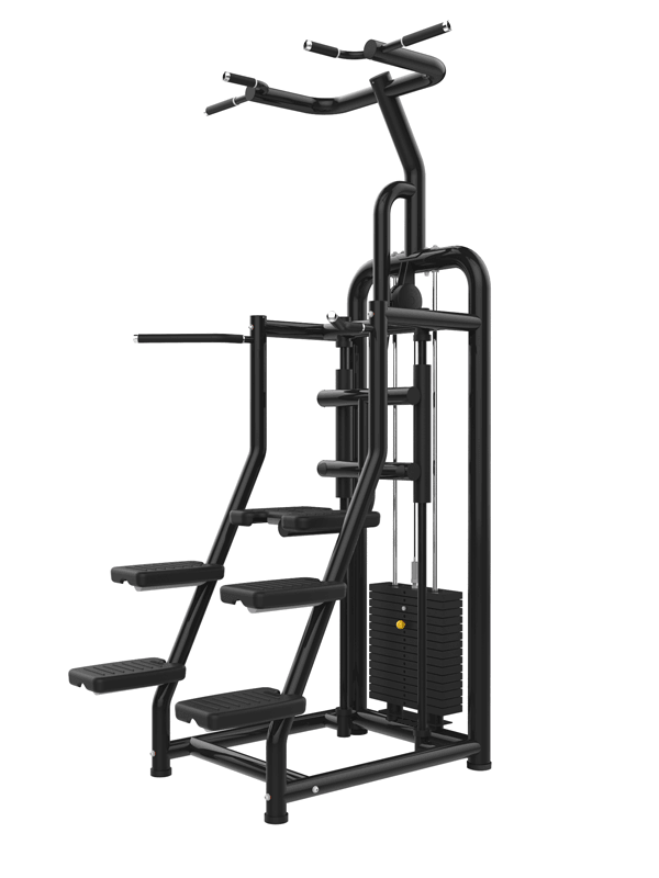 Vogue Assisted Chin/Dip - Muscle D Fitness - Adjustable - Pin Selectorized - Back Tricep Combo - Grit Grind Strength