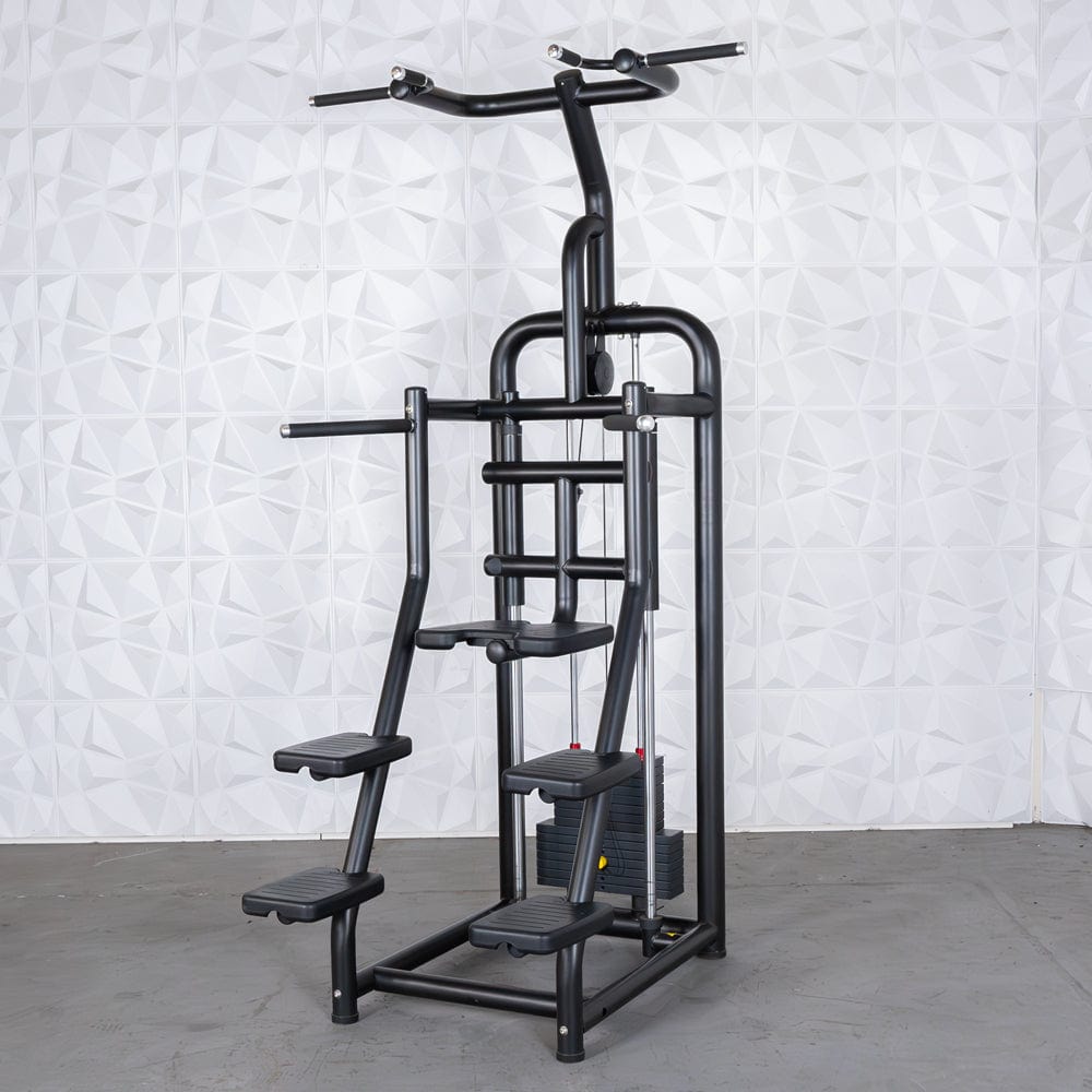 Vogue Assisted Chin/Dip - Muscle D Fitness - Adjustable - Pin Selectorized - Back Tricep Combo - Grit Grind Strength