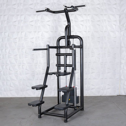 Vogue Assisted Chin/Dip - Muscle D Fitness - Adjustable - Pin Selectorized - Back Tricep Combo - Grit Grind Strength